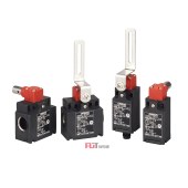 OMRON 欧姆龙 安全门铰链开关 D4NH-4FAS